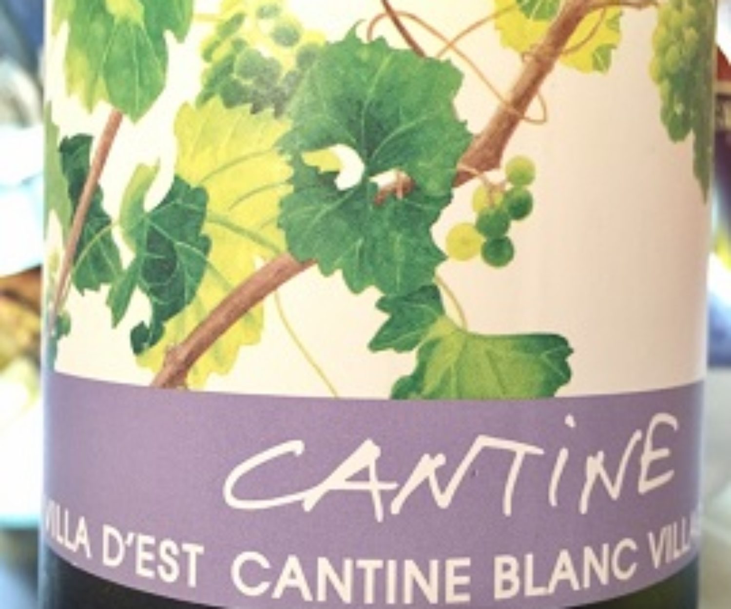 ヴィラデスト　カンティーヌ・ブラン2012