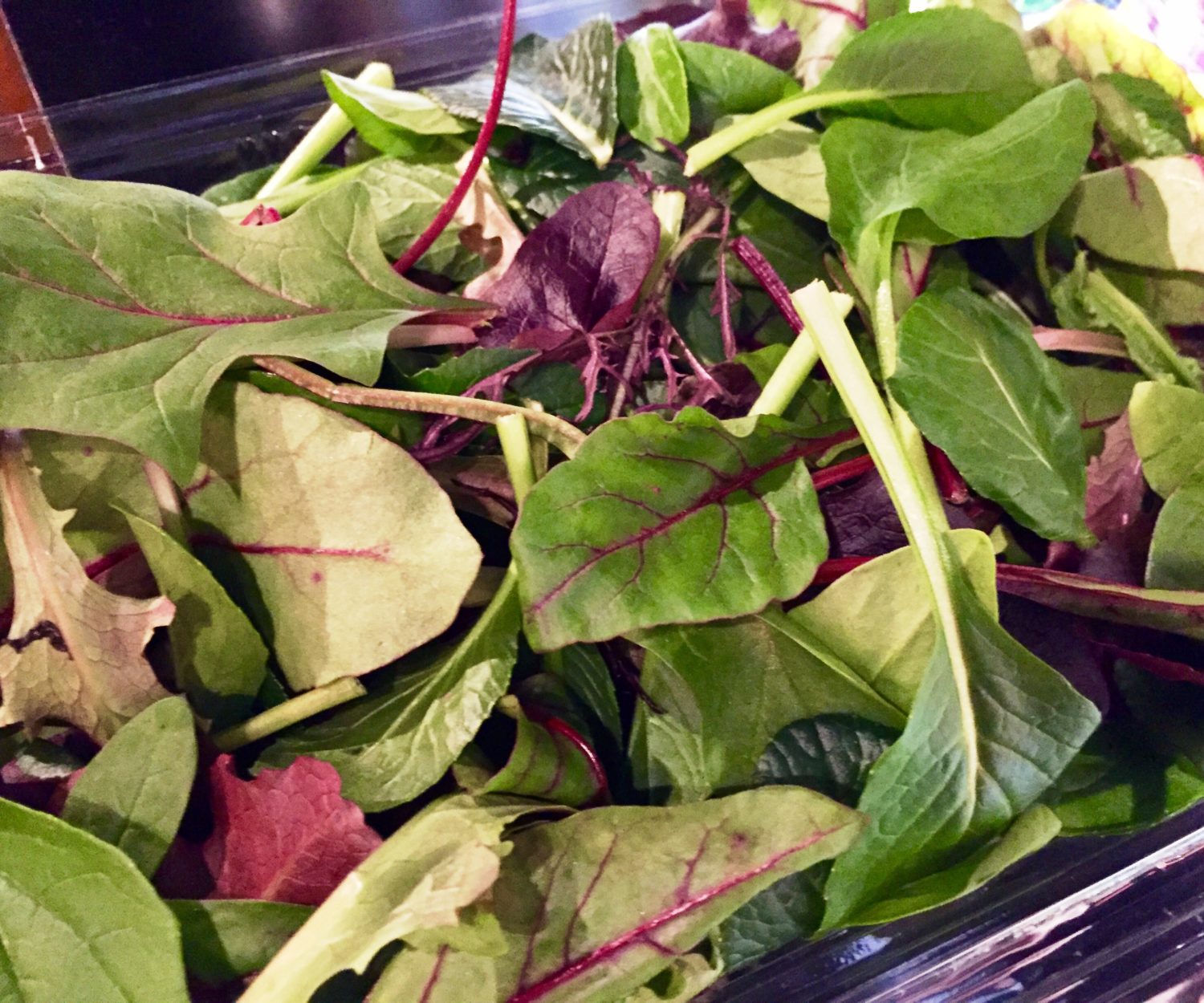 つくば市　モアークのベビーリーフ